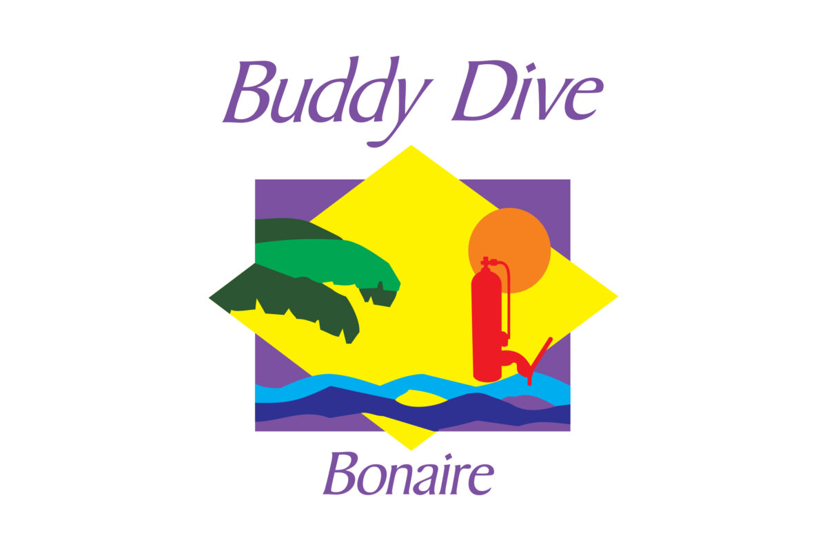 dive experience bonaire with buddy dive